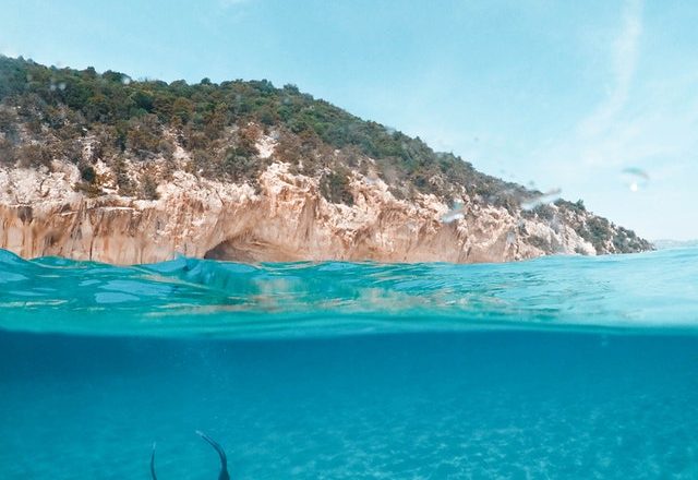 Balearia. Oferta “Excursión a 50€”