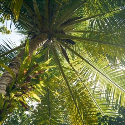 Grupo Piñero: 10 tips para ser más ‘Ecoísta’ en vacaciones