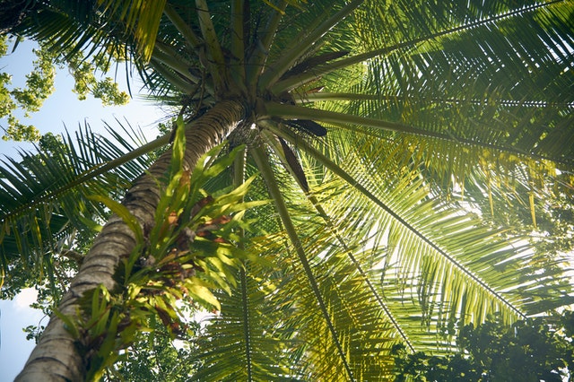 Grupo Piñero: 10 tips para ser más ‘Ecoísta’ en vacaciones