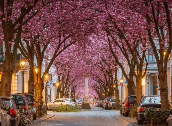¿Qué hacer en Alemania en primavera?