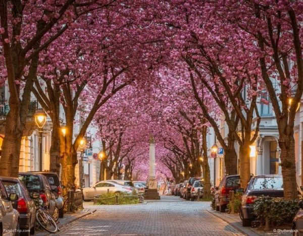 ¿Qué hacer en Alemania en primavera?
